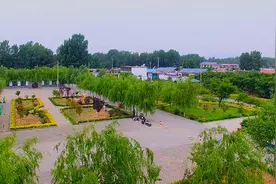 美丽乡愁|乡村绿化美化连载：山东•邹城图片