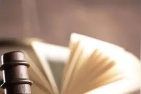 《民法典》解读三十二：离婚抚养权图片