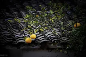 农村的早起，年轻人最上头的生活习惯图片