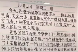 9岁男生的满分作文遭哄传，字体工整似印刷，网友：这绝对打印的图片