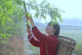 正逢一年大蒜收获季，做一席让人又爱又恨的全蒜宴图片