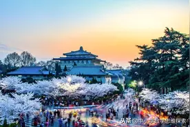 武汉最牛火箭班高考均分646，成都神仙实验班高考均分680图片