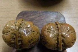 6万6买的文玩核桃，给爷爷当祝寿礼物，结果悲剧了图片