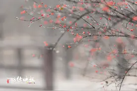 一往情深深几许？深山夕照深秋雨。在纳兰词作中与最深的秋相逢图片