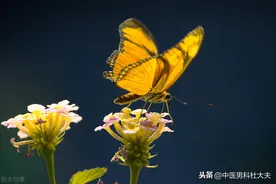 对于身体虚弱的人而言，如何科学的戒色？图片