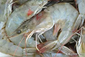 保存鲜虾，别直接放冰箱冷冻了！分享3招，冻几个月虾肉新鲜如初图片