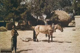 彩色照片：1912-1913年中国北方社会图景，处处破旧落后图片