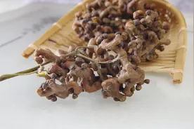 上山一天能采几十斤的野果：拐枣，一斤十几块，泡酒是一绝图片