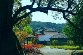 新声01｜与五年前的自己对话：我拿青春赌明天，何不潇洒走一回图片