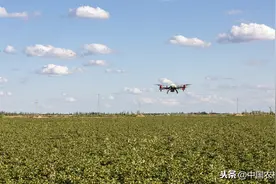 有“摩尔定律”和“马太效应”的植保无人飞机，行业迎来了大未来图片