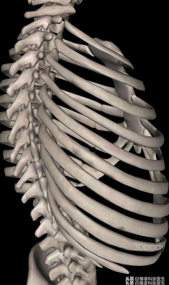 不明原因的心慌胸闷,别忘了可能是胸椎关节紊乱