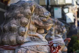 浸猪笼，警惕沉渣泛起图片