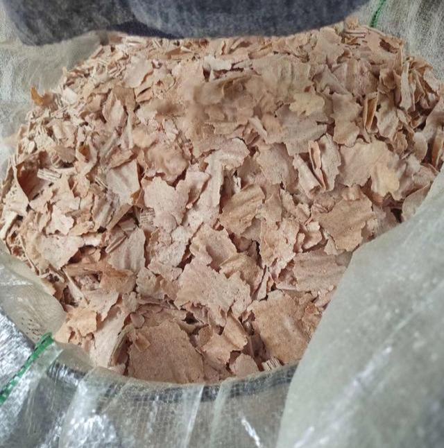 当下气温较高，15天足可沤制好花生麸液肥，果农需了解5个关键点