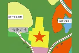 震惊！成交价比地价还便宜！——这些新盘不能错过图片
