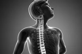 人体缺少哪些器官还能存活？你猜对了吗图片