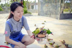 中秋节小姐姐给鹦鹉喂月饼，鹦鹉吃月饼会死吗？铲屎官还不快看看图片