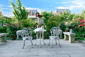 院子里少种4种花草，容易招蛇虫，养殖要小心图片