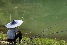 河南老头钓到一“乌龟”，背上插着4支箭，专家：一竿钓了18亿图片