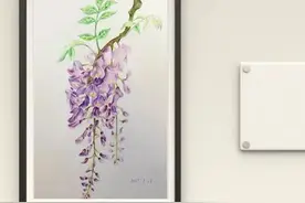 彩铅教程：如何绘制紫藤图片