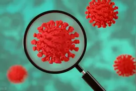 新冠用英文怎么说？关于疫情的一些表达图片