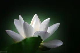 印光法师：君子乐天知命，不怨不尤图片