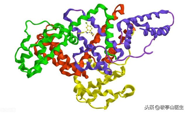 挂氨基酸、白蛋白、球蛋白对身体真有好处？告诉你事实真相