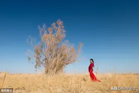 庄子：世人总在羡慕横财，却不知横财背后藏着横祸图片