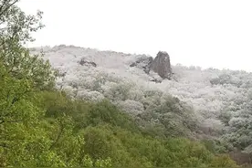 罕见！涞水百草畔迎来五月飘雪，美轮美奂！图片