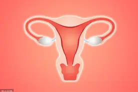 子宫肌瘤及子宫腺肌病子宫动脉栓塞术治疗专家共识图片
