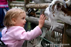 搞笑：僵尸投胎做不了人那就做什么可爱的动物？猜一脑筋急转弯图片