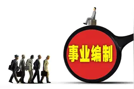没编制的大学老师不香了？不再是“铁饭碗”，其实就业优势还在图片