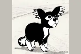 又一催泪狗狗电影，超现实的亮眼技法，深埋于现实的共情力量图片