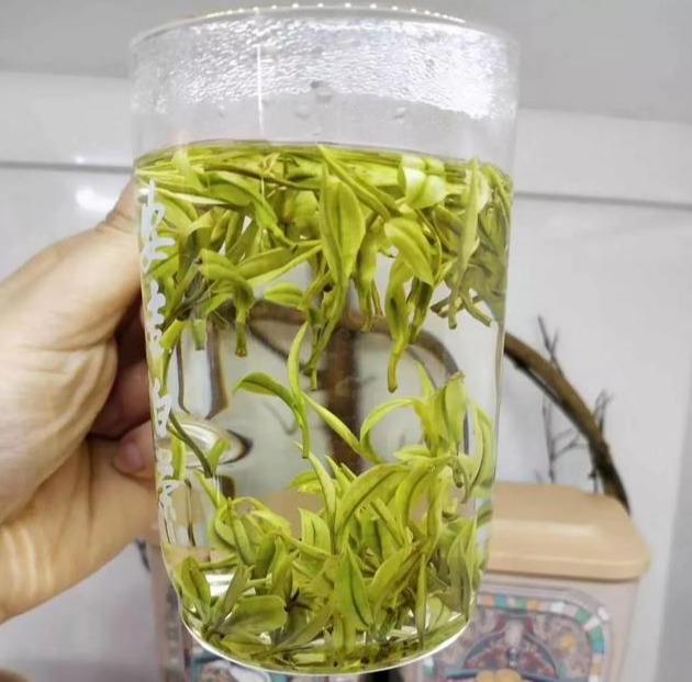 香气嫩香持久，滋味鲜醇甘爽的安吉白茶，一起了解一下