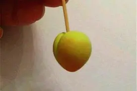 4000多年前的桃子长什么样？个头和樱桃一样大，果肉味如嚼蜡图片