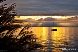 风物长宜放眼量图片