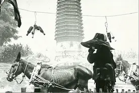 民国老照片：1941年北京庄稼地里的慈寿寺塔图片
