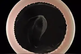 致杜蕾斯：一个纯洁的创意人，胜过一万个老司机图片