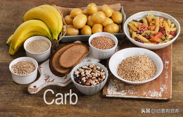 科普文运动与各类营养