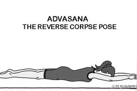 瑜伽体式之俯卧挺卧式Advasana 让身体得到深度休息 让头脑平静图片