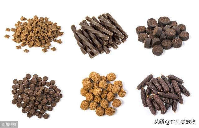 科普：养狗，这6种营养物质，缺一不可