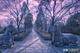 大明实亡于皇族的“养猪政策”，“家国不分”终致亡国亡家图片