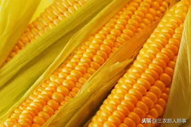 玉米会这么一直涨下去吗？种玉米用什么复合肥好？图片