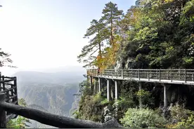 京剧《杜鹃山》，井冈山杜鹃山，演绎着一段党史悲剧，令人惋惜图片