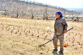 歌声飘过四十年——令人神往的“四化”图片