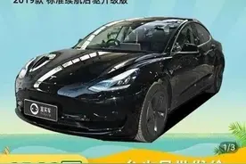 拼多多上团购买车 特斯拉拒绝交付图片