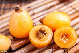 约起来！枇杷最佳采摘期来啦！周末又双叒多了个去处图片