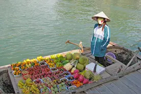 越南为何禁止对中国出口，300万吨水果滞留港口，网友：心酸不已图片