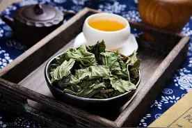 防疫喝杯桑术养正饮图片