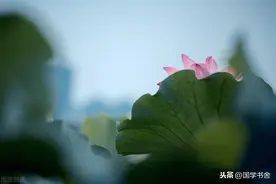 《围炉夜话》：贪利而轻德者，终将以祸患为代价图片