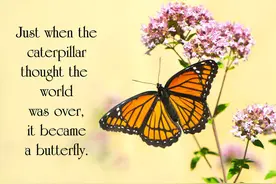 诗歌：做个正人君子图片